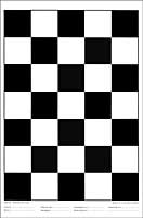Leneta Form 10H Checkerboard Chart