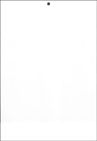 Leneta WBX Plain White Card